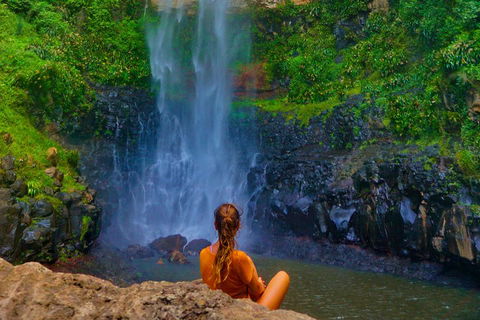 Private Tour - Rainforest & Waterfalls Extravaganza - Winery Find 3