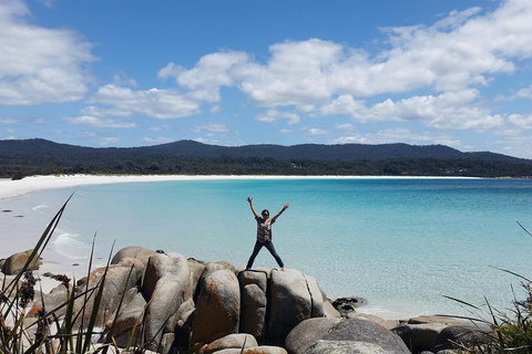 Tasmania 4 Day East Coast + Launceston - Winery Find 1