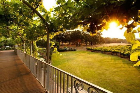 Busselton Jetty + Train Ride + Winery + Scenic Drive Full Day Tour - Winery Find 1