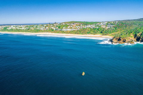 2-Hour Guided Whale Watching Tour At Noosa - Winery Find 4