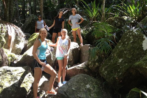 Byron Bay Hinterland Tour Including Rainforest Walk To Minyon Falls - Winery Find 3