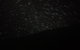 Wave Rock, Wild Flowers And Astro Photography - thumb 1