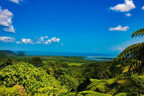 Cape Tribulation Day Tour - Winery Find 3