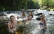 Daintree Rainforest, Cape Tribulation, Mossman Gorge Small-Group Day Tour - thumb 0
