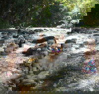 Daintree Rainforest Cape Tribulation Mossman Gorge Small-Group Day Tour - Winery Find