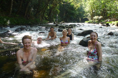 Daintree Rainforest, Cape Tribulation, Mossman Gorge Small-Group Day Tour - Winery Find 0