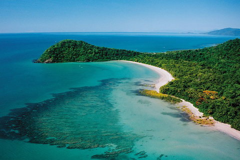 Daintree Rainforest, Cape Tribulation, Mossman Gorge Small-Group Day Tour - Winery Find 4