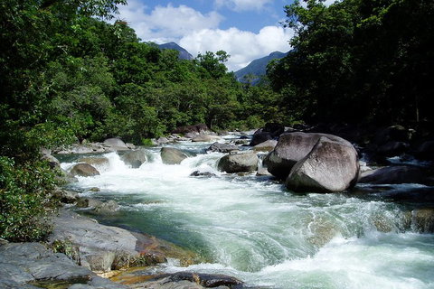 Daintree Rainforest, Cape Tribulation, Mossman Gorge Small-Group Day Tour - Winery Find 5