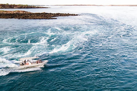 Giant Tides Tour - Cygnet Bay Pearl Farm - Winery Find 4