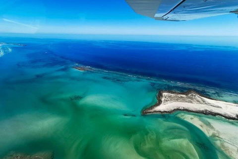 Wet Season Incredible Islands Tour - Horizontal Falls & Cygnet Bay Pearl Farm - Winery Find 4