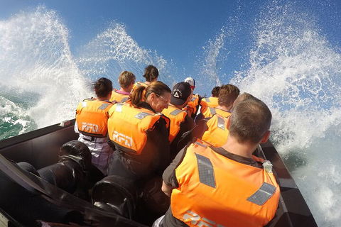 Noosa Thriller - 500hp Ocean Adventure Ride - Winery Find 4