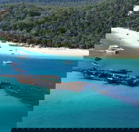 All Inclusive Tangalooma Wrecks Cruise Tour From Gold Coast - Winery Find
