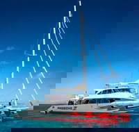 Passions of Paradise Great Barrier Reef Snorkel and Dive Cruise from Cairns by Luxury Catamaran - Winery Find