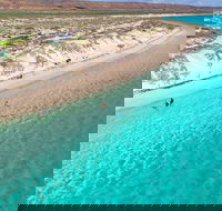Ningaloo in a Day - Full Day Hike and Snorkel Tour with Lunch - Winery Find