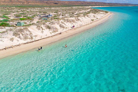 Ningaloo In A Day - Full Day Hike And Snorkel Tour With Lunch - Winery Find 0