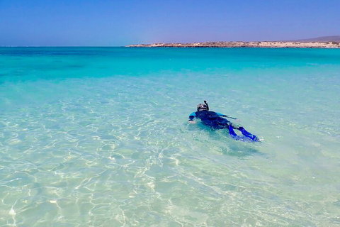 Ningaloo In A Day - Full Day Hike And Snorkel Tour With Lunch - Winery Find 4
