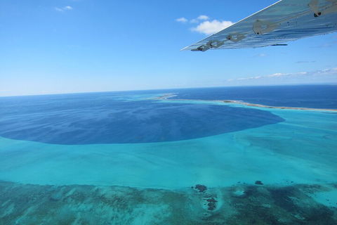Shipwreck Special Full Day Tour Of The Abrolhos Islands - Winery Find 2