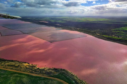 Kalbarri, Pink Lake And Abrolhos Islands Nature Tour - Winery Find 1