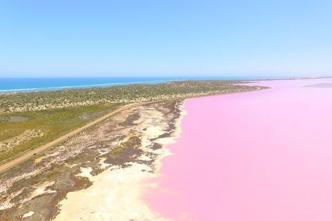 Pink Lake + Abrolhos Islands Scenic Flight - Winery Find 4