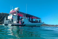 Best of Moreton Bay Cruise, Brisbane