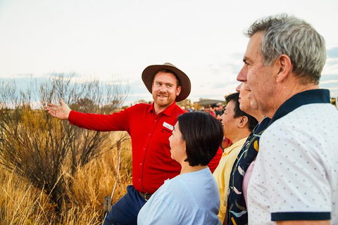 Uluru (Ayers Rock) Sunset With Outback Barbecue Dinner And Star Tour - Winery Find 3