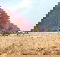 Uluru Sunrise and Guided Base Walk - Winery Find