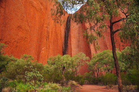 Uluru Sunrise And Guided Base Walk - Winery Find 3