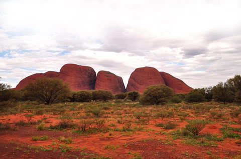 Ayers Rock 4 Tour Combo: Complete Uluru Base Walk At Sunrise, Valley Of The Winds At Sunrise, Kata Tjuta Sunset And Uluru Sunset - Winery Find 1