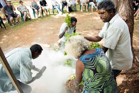Tiwi Islands Cultural Experience From Darwin Including Ferry - Winery Find 4