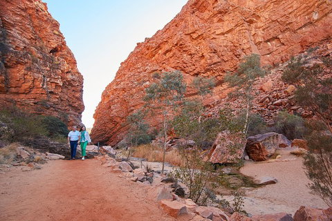Best Of Alice Springs Full Day Tour - Winery Find 1