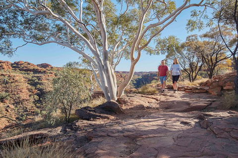 3-Day Tour From Uluru (Ayers Rock) To Alice Springs Via Kings Canyon - Winery Find 1