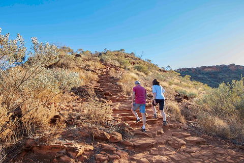 3-Day Tour From Uluru (Ayers Rock) To Alice Springs Via Kings Canyon - Winery Find 3