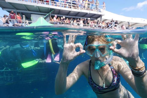 Great Barrier Reef Day Cruise From Cairns Including Snorkeling And Marine Biologist Presentation - Winery Find 0