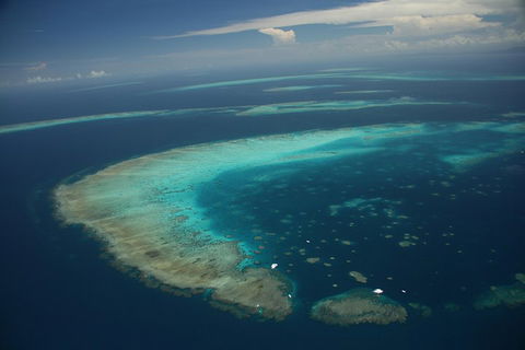 Great Barrier Reef Day Cruise From Cairns Including Snorkeling And Marine Biologist Presentation - Winery Find 1