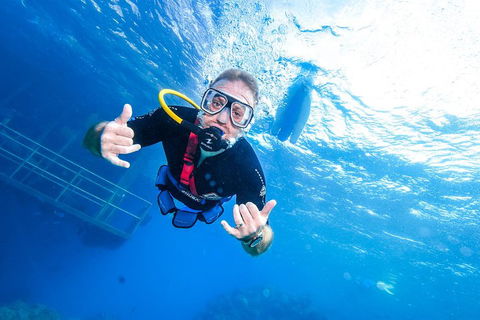 Great Barrier Reef Day Cruise From Cairns Including Snorkeling And Marine Biologist Presentation - Winery Find 3