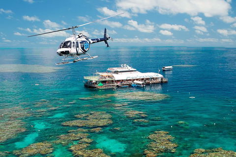 Great Barrier Reef Day Cruise From Cairns Including Snorkeling And Marine Biologist Presentation - Winery Find 5