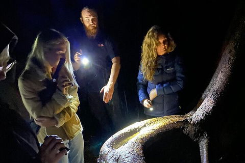 Evening Rainforest & Glow Worm Experience - Winery Find 2