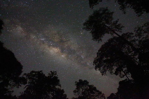 Evening Rainforest & Glow Worm Experience - Winery Find 4