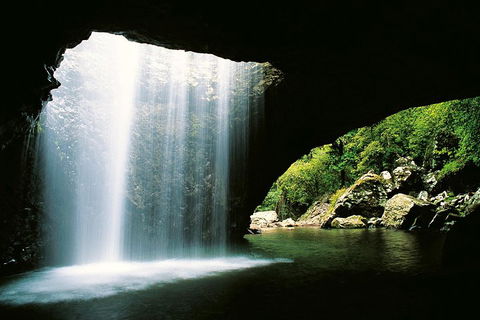 Natural Bridge & Springbrook Waterfalls Tour - Winery Find 0