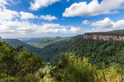 Natural Bridge & Springbrook Waterfalls Tour - Winery Find 1