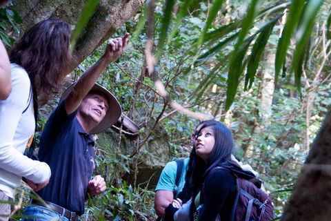 Natural Bridge & Springbrook Waterfalls Tour - Winery Find 4