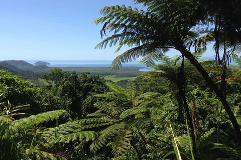 Daintree And Cape Tribulation Full Day Guided Tour - Winery Find 2