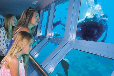 Quicksilver Outer Great Barrier Reef Snorkel Cruise From Palm Cove - Winery Find 0