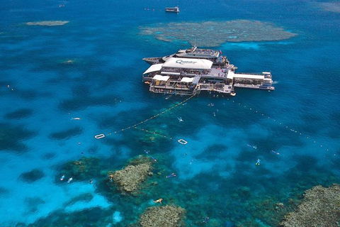 Quicksilver Outer Great Barrier Reef Snorkel Cruise From Palm Cove - Winery Find 1