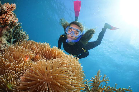 Quicksilver Outer Great Barrier Reef Snorkel Cruise From Palm Cove - Winery Find 2