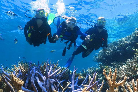Quicksilver Outer Great Barrier Reef Snorkel Cruise From Palm Cove - Winery Find 3