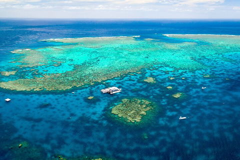 Quicksilver Outer Great Barrier Reef Snorkel Cruise From Palm Cove - Winery Find 4