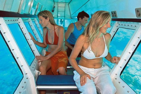 Quicksilver Outer Great Barrier Reef Snorkel Cruise From Palm Cove - Winery Find 5