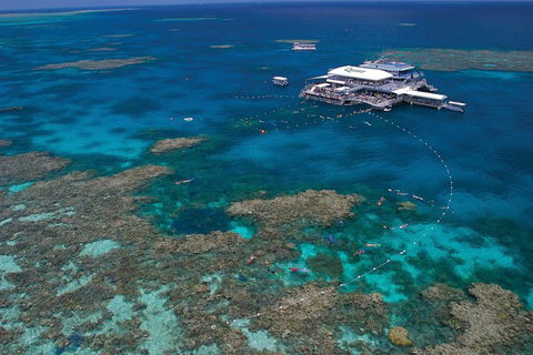 Quicksilver Outer Great Barrier Reef Snorkel Cruise From Port Douglas - Winery Find 3