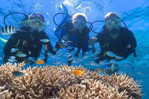 Quicksilver Outer Great Barrier Reef Snorkel Cruise From Port Douglas - Winery Find 4